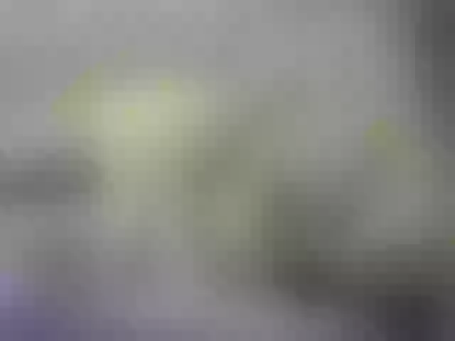 Live sex webcam photo for Misskristina #271458948