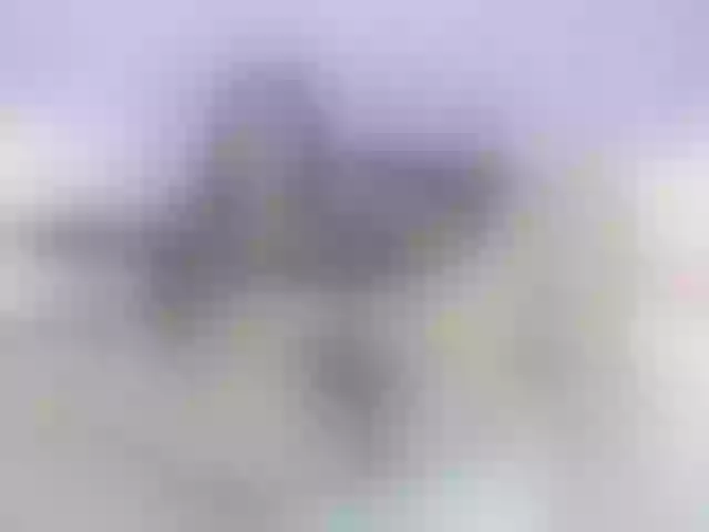Live sex webcam photo for lizzarobert #271462731