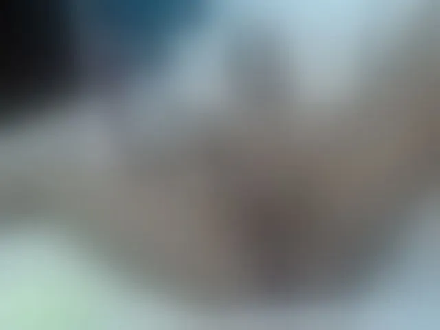 Live sex webcam photo for LauGarciaa #271459180