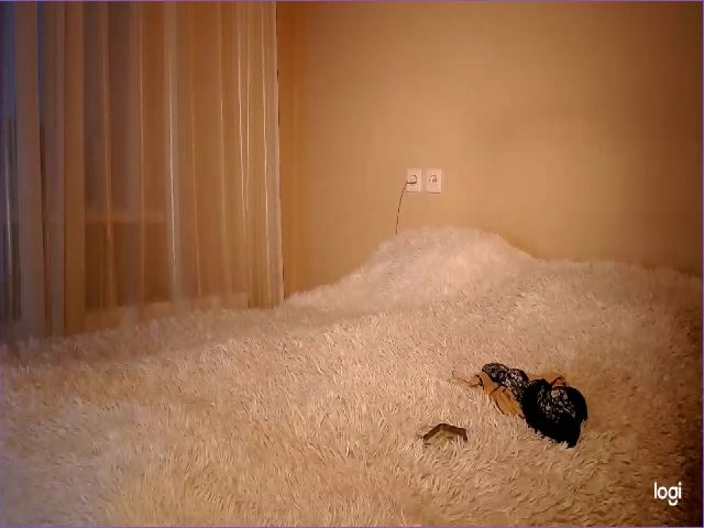 Live sex webcam photo for LulyXX #271454482