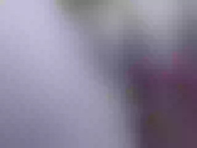 Live sex webcam photo for RinChan3 #271453148