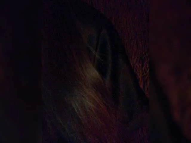 Live sex webcam photo for CNPEHA #271478718