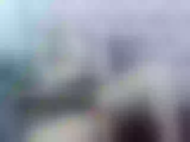 Live sex webcam photo for Afroditahass #271479013
