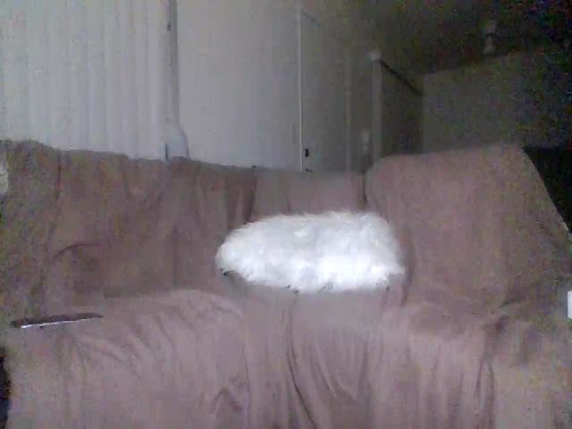 Live sex webcam photo for icydymond #271472399