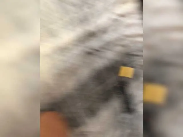 Live sex webcam photo for -Smeshariki- #271470895