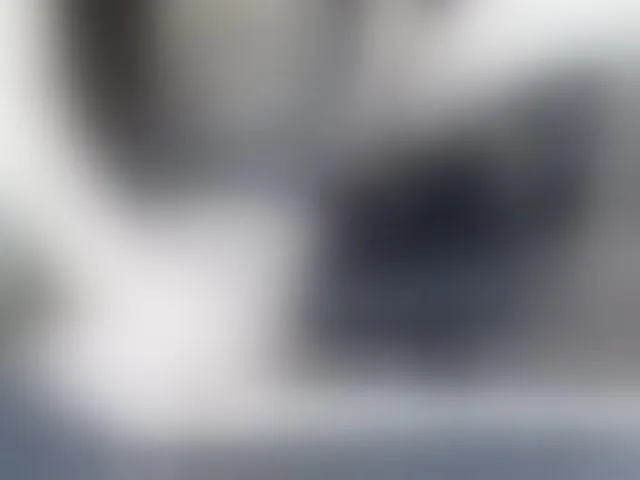 Live sex webcam photo for hayneiko #271471343