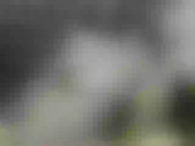 Live sex webcam photo for Madan-laren #271494092