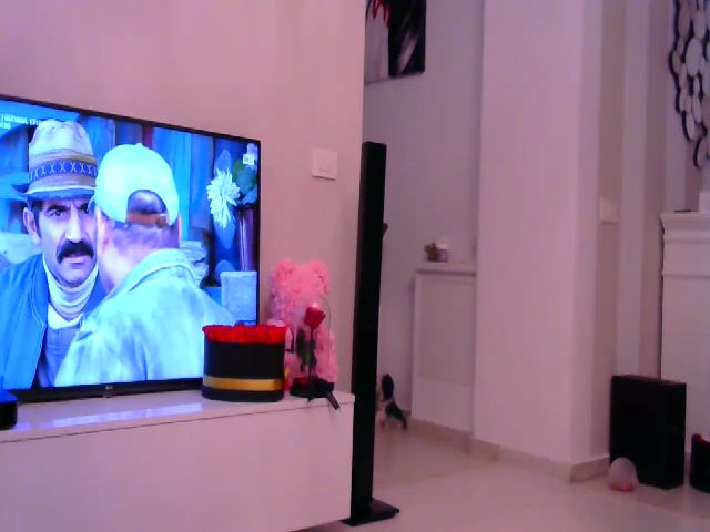 Live sex webcam photo for Missy_alena #271499534