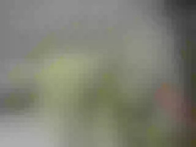 Live sex webcam photo for Misskristina #271520340