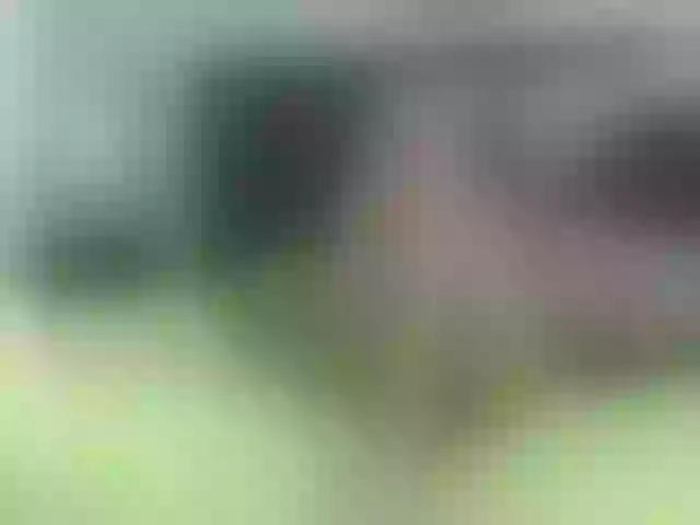 Live sex webcam photo for shariksweet #271514280