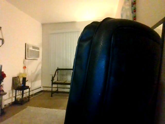 Live sex webcam photo for Noellebella #271516609