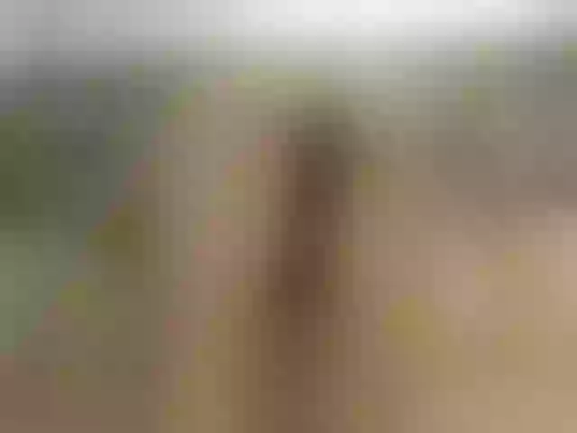 Live sex webcam photo for emilyprinces #271512561