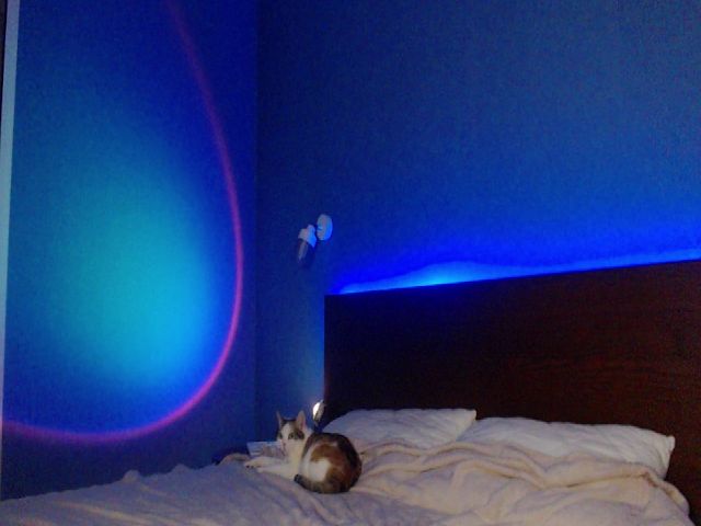 Live sex webcam photo for EmilyHill #271537215