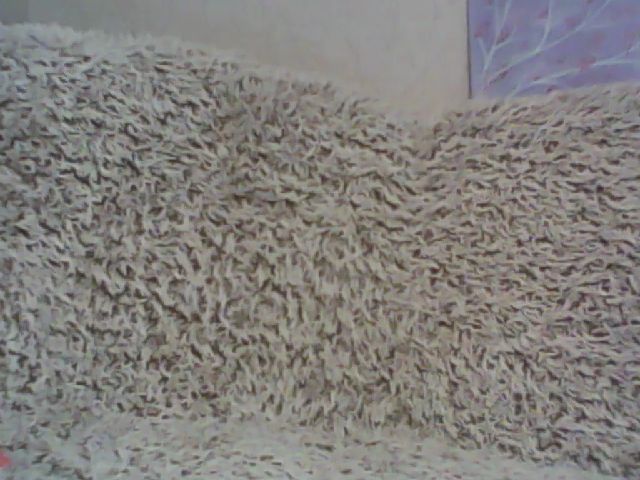 Live sex webcam photo for alSiXe #271542192