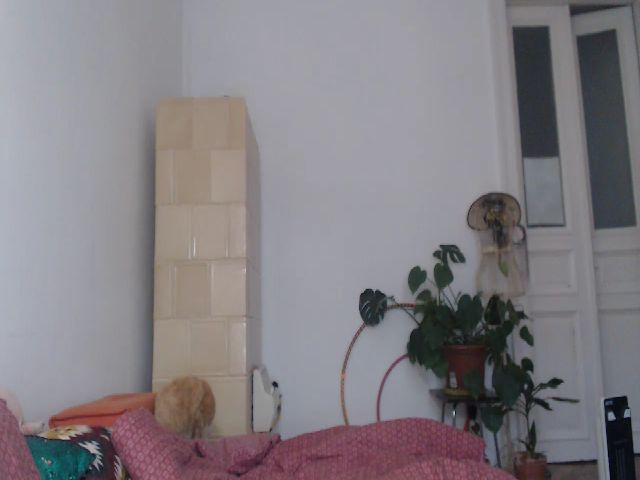 Live sex webcam photo for PetitePinkie #271550562