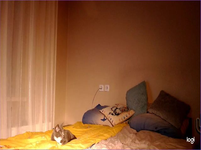 Live sex webcam photo for LulyXX #271545178