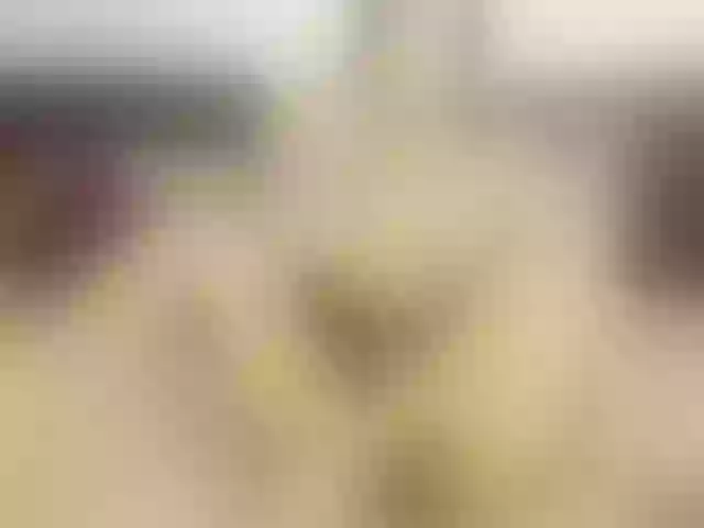 Live sex webcam photo for MilaBrock #271558550