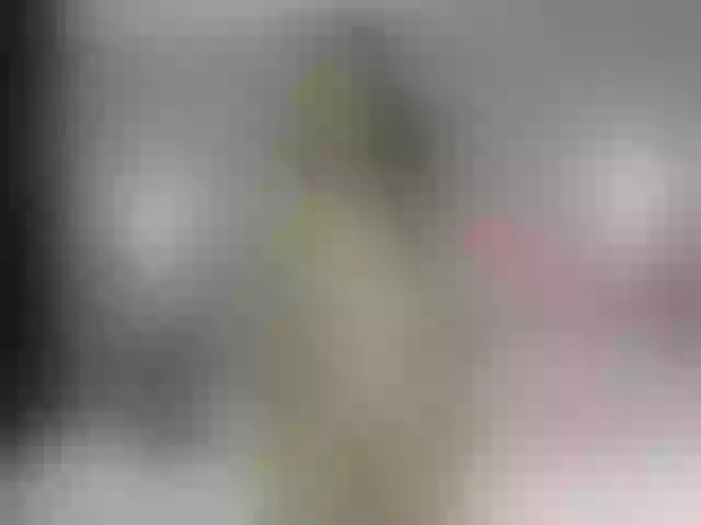 Live sex webcam photo for shantal20 #271565740