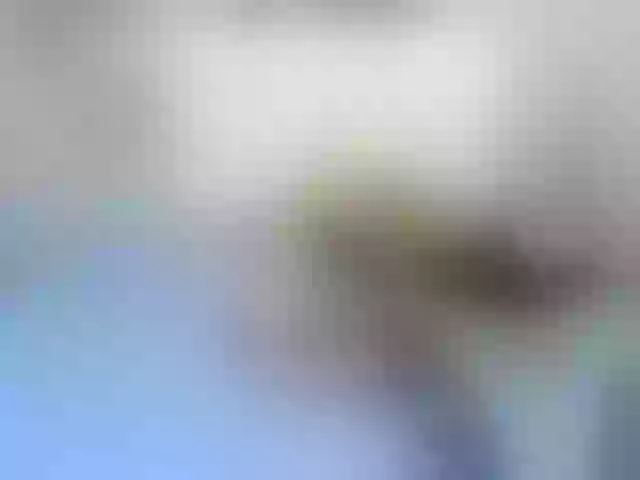 Live sex webcam photo for ShirleyEduard #271561665