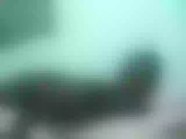 Live sex webcam photo for AfroGodess #271555875