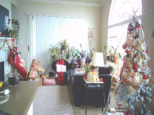 Live sex webcam photo for Josieeberg #271596556