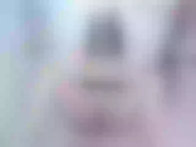 Live sex webcam photo for Eimyrosse #271602686