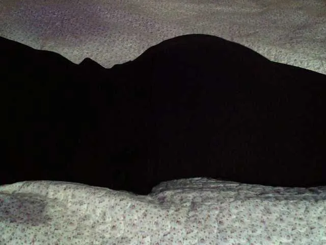 Live sex webcam photo for liZAAAZ #271625609