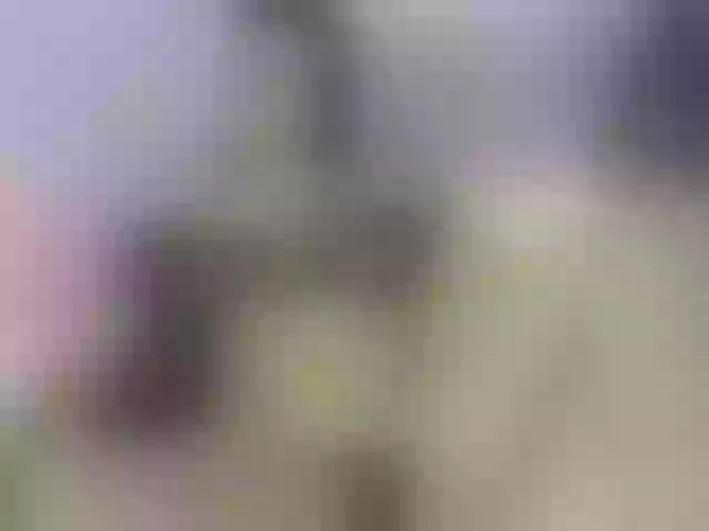 Live sex webcam photo for lizzarobert #271621274