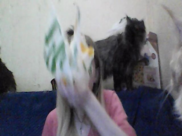 Live sex webcam photo for GuiltyKitty #271619689