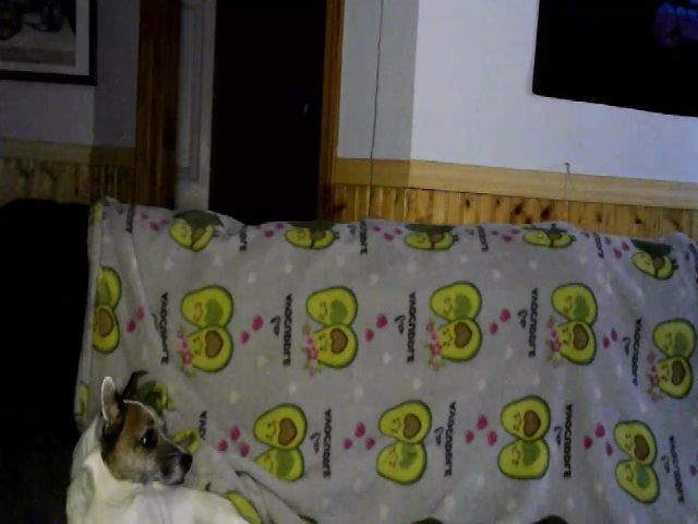 Live sex webcam photo for avocadoqueen #271623651