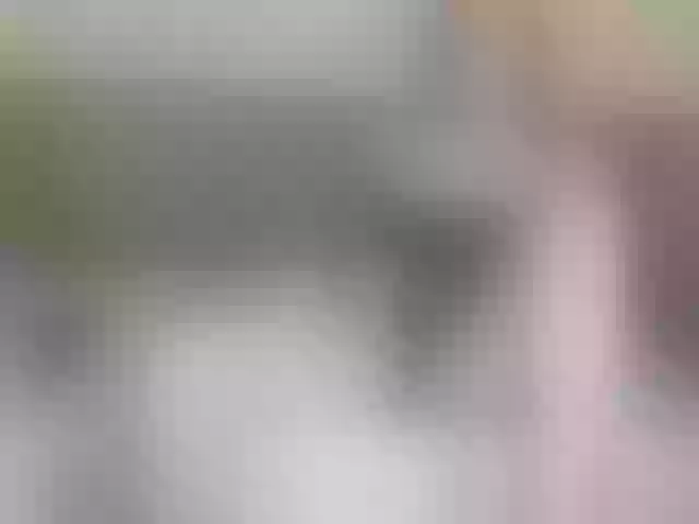 Live sex webcam photo for Mallinia #287955499