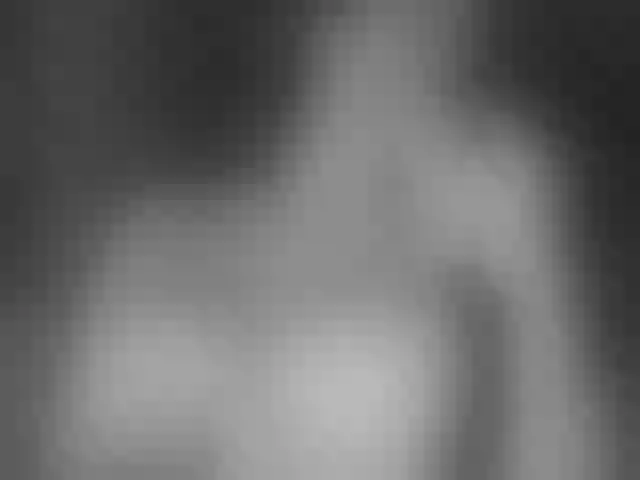 Live sex webcam photo for SilkElement #271640040