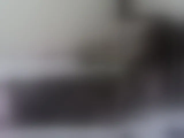 Live sex webcam photo for CandiceLoving #271630252