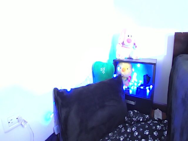 Live sex webcam photo for Maez_Ashley #271643627