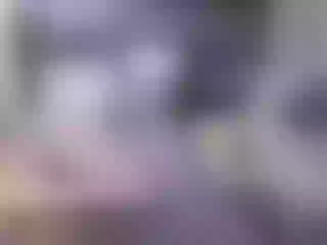 Live sex webcam photo for SophieAnWhite #271644846