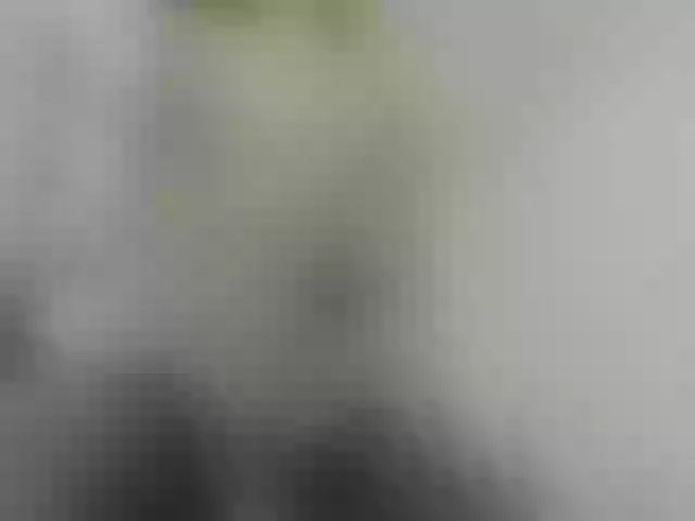 Live sex webcam photo for ego777me #287981623