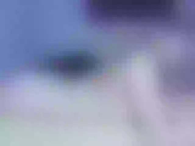 Live sex webcam photo for AnyGreen #271646049