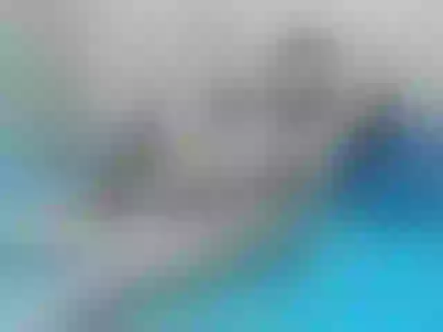 Live sex webcam photo for ingirls #271645277