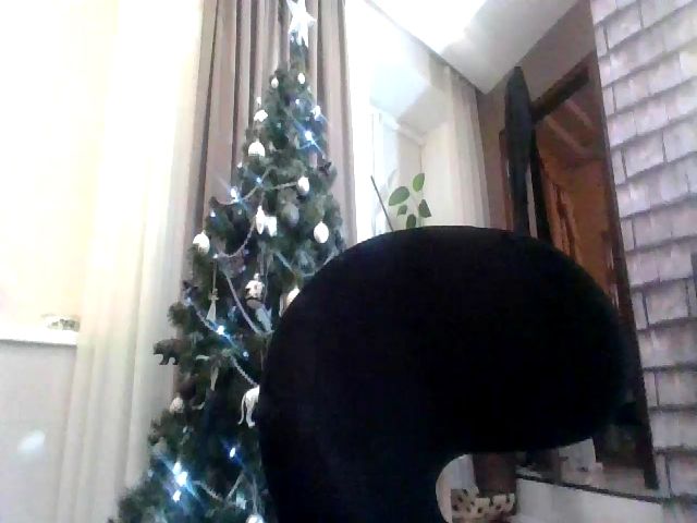 Live sex webcam photo for Xena_New #271646969