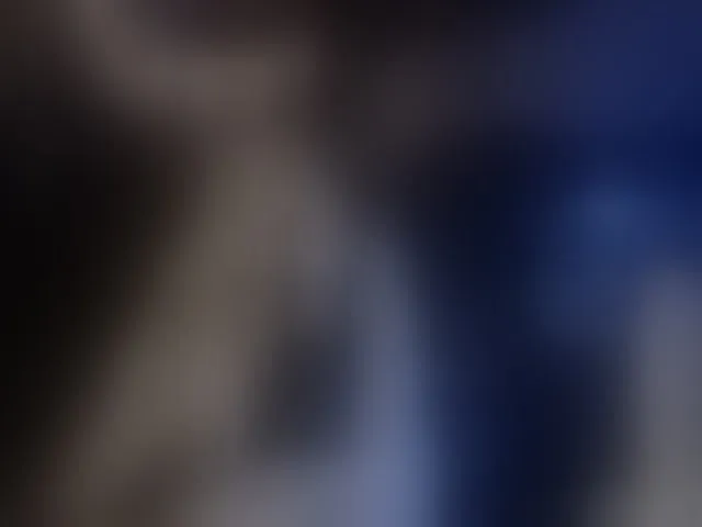 Live sex webcam photo for xtinastar #271649662