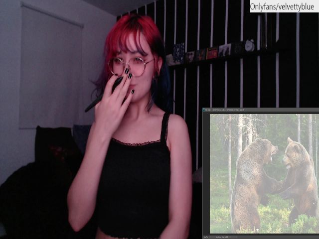 Live sex webcam photo for VelvetyBlue #271664663