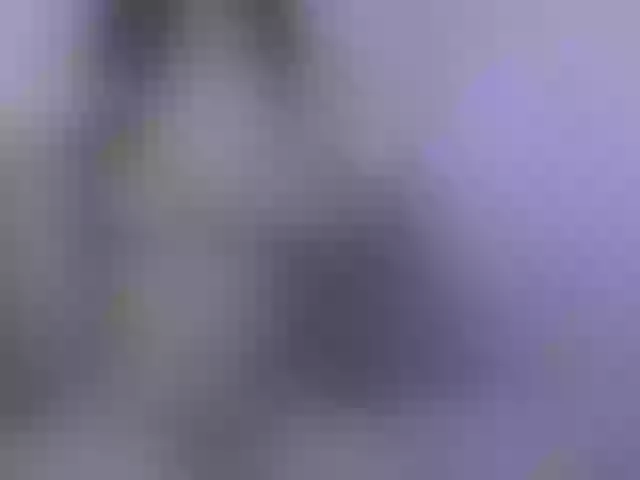 Live sex webcam photo for EvaMind #288028566