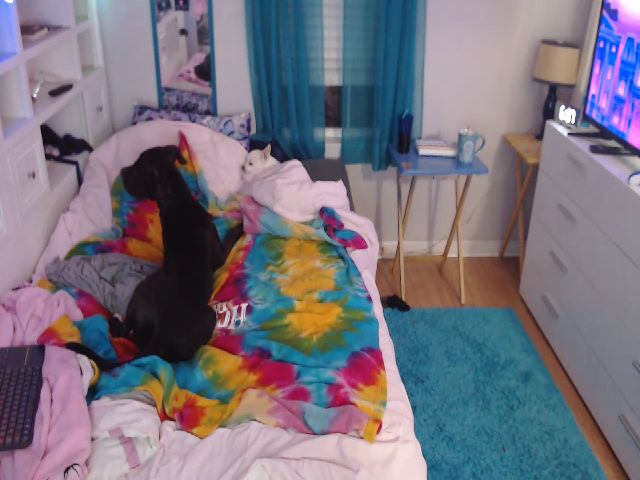 Live sex webcam photo for SweetNSouthrn #271681746