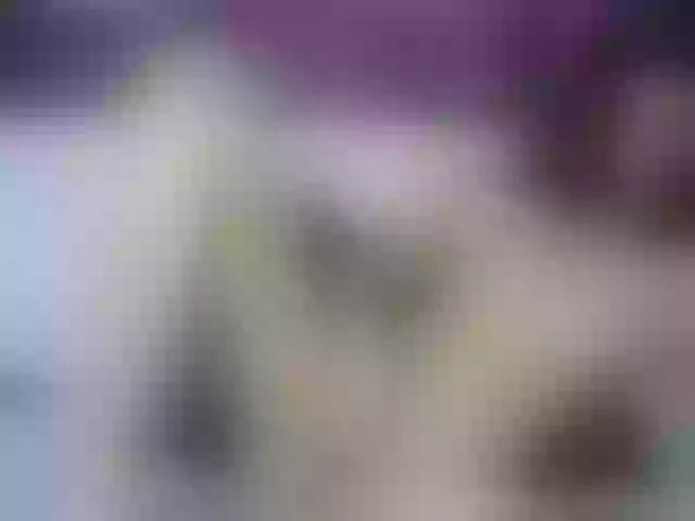 Live sex webcam photo for di-young #271679590