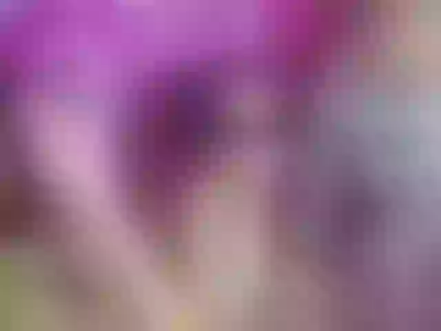 Live sex webcam photo for Dreamsfantasy #271679282