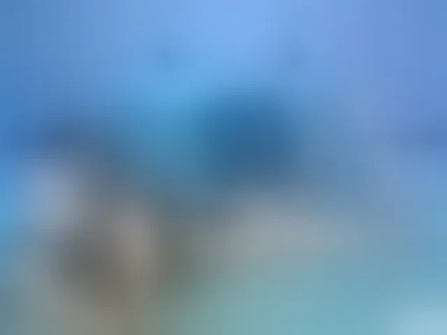 Live sex webcam photo for ---oTo-Toy--- #290388753