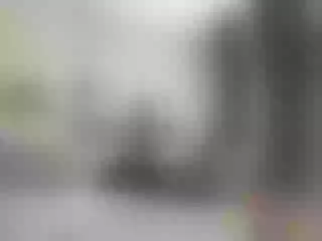 Live sex webcam photo for --SATIVA-- #291948389