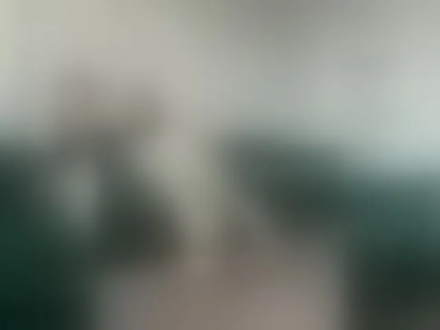 Live sex webcam photo for --SATIVA-- #293162956