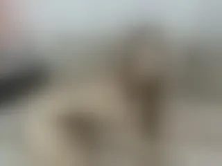 Live sex webcam photo for -Aisha- #165669268