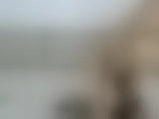Live sex webcam photo for -Aisha- #165673014